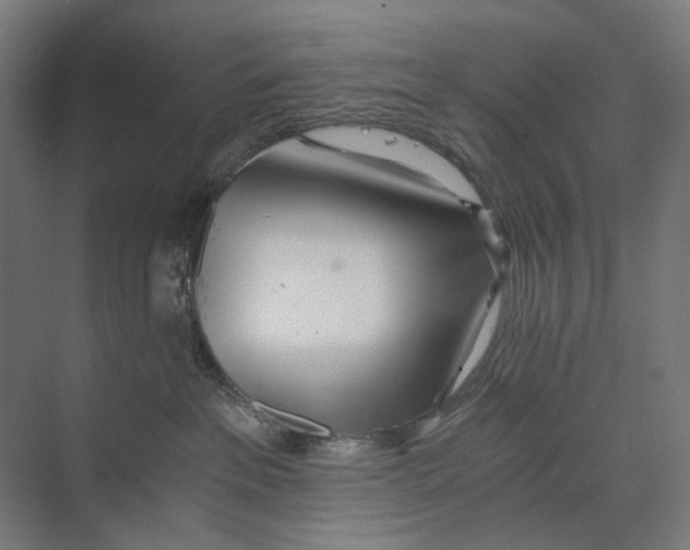 X0000073510237200608281715