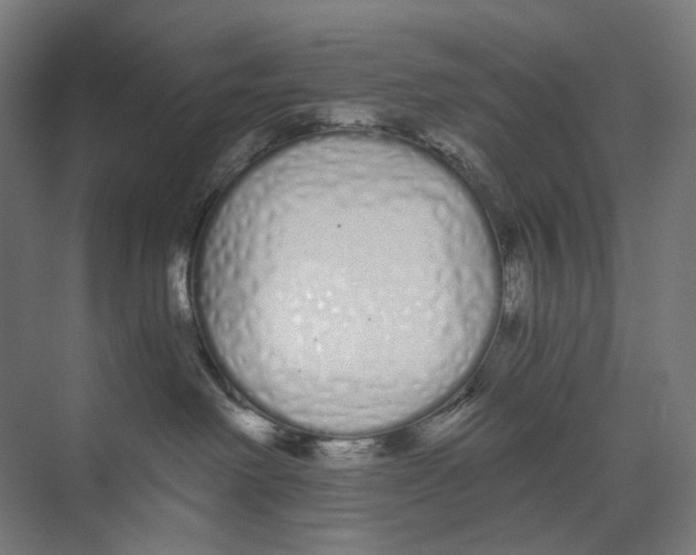 X0000073510238200608281715