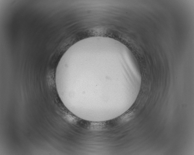 X0000073510240200608281715