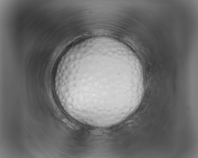 X0000073510241200608281714