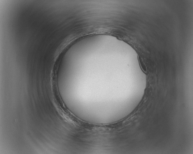 X0000073510242200608281714