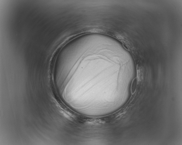 X0000073510243200608281714