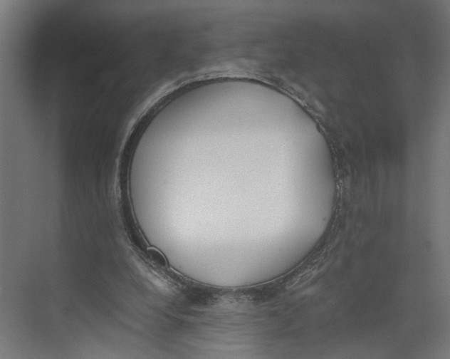 X0000073510248200608281714