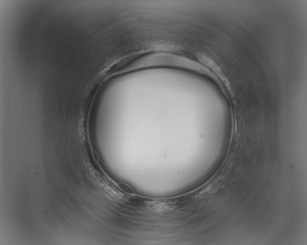 X0000073510249200608281714