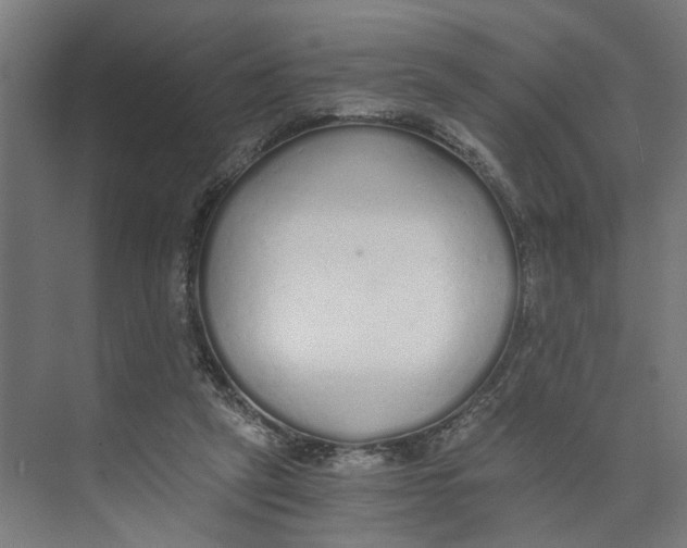 X0000073510257200608281715