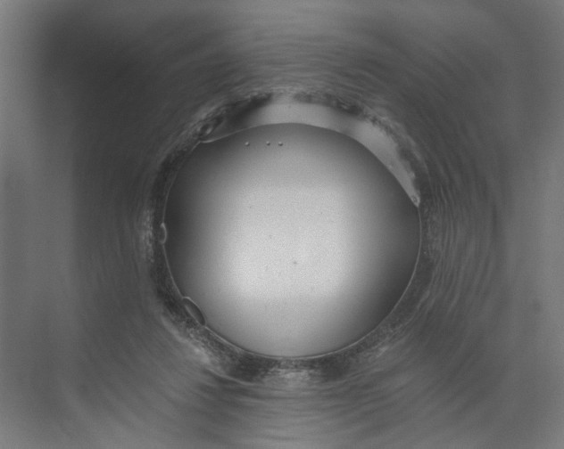 X0000073510260200608281715