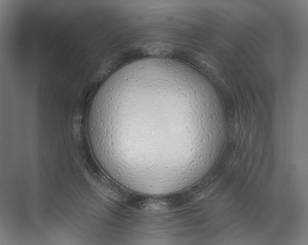 X0000073510263200608281715