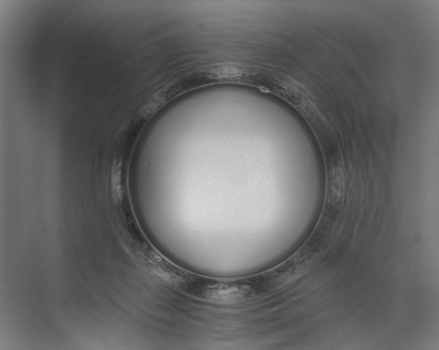 X0000073510267200608281715