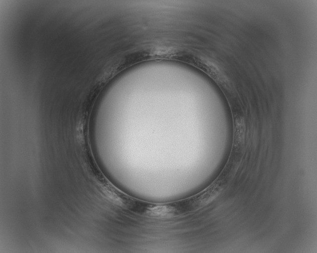 X0000073510269200608281715