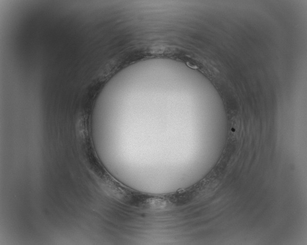 X0000073510272200608281715