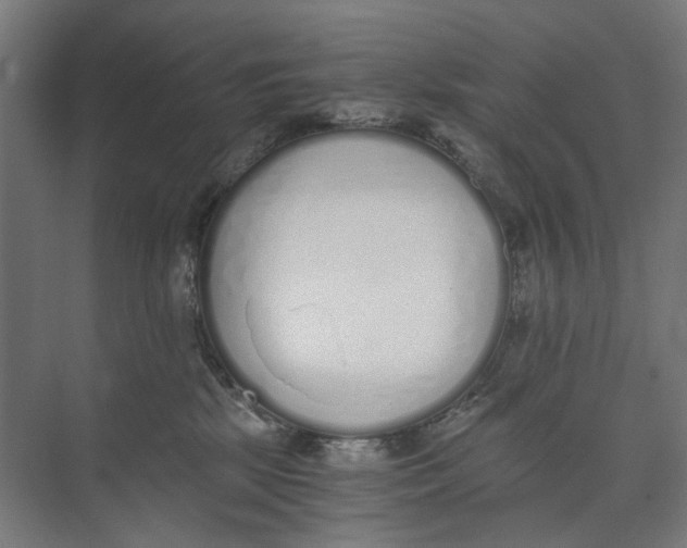X0000073510281200608281715