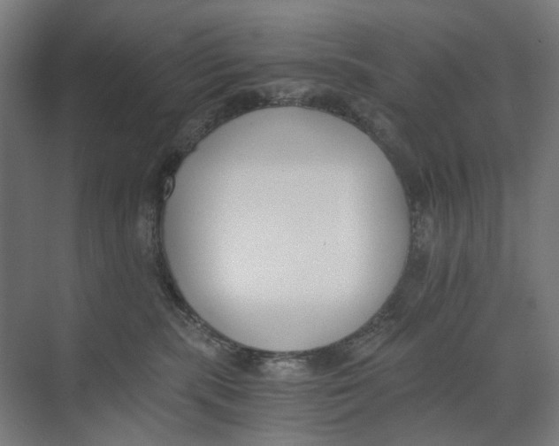 X0000073510283200608281715