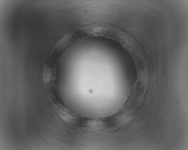 X0000073510284200608281715