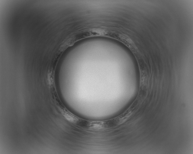 X0000073510285200608281715