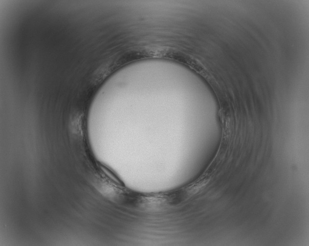 X0000073510286200608281715