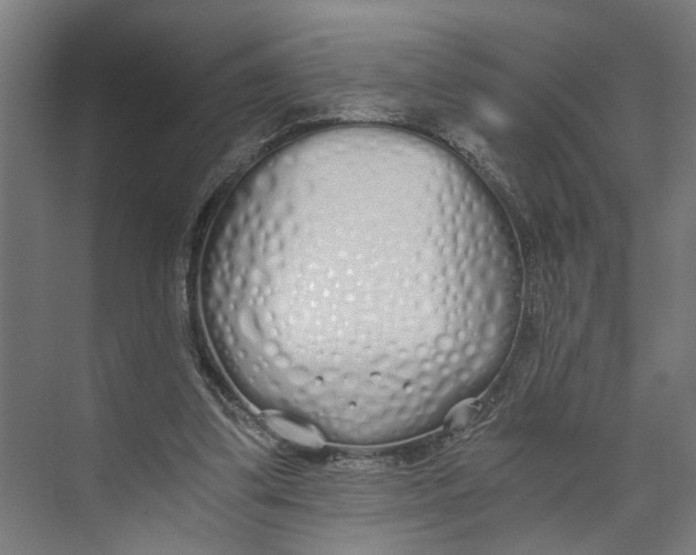 X0000073510299200608281714