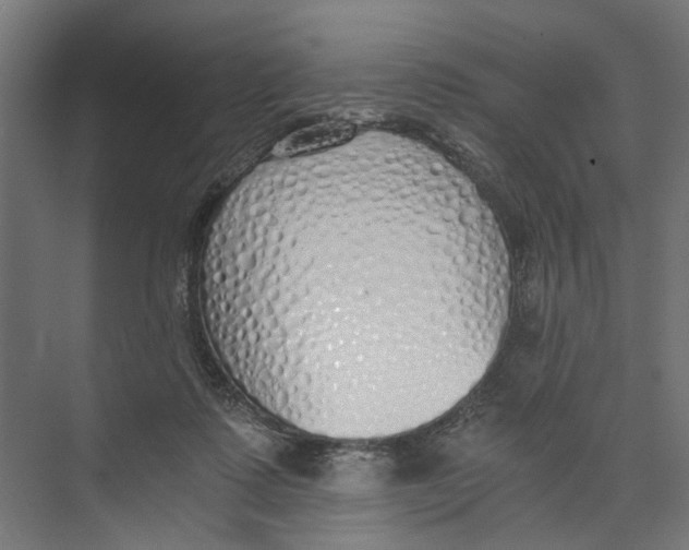 X0000073510315200608281714