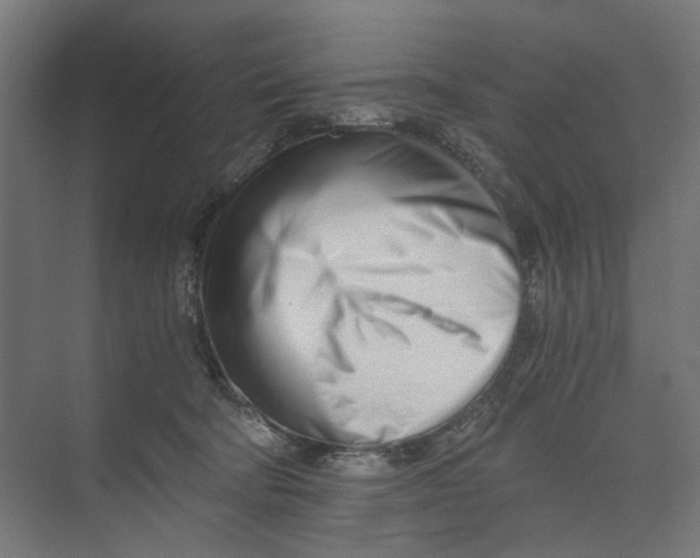 X0000073510322200608281714