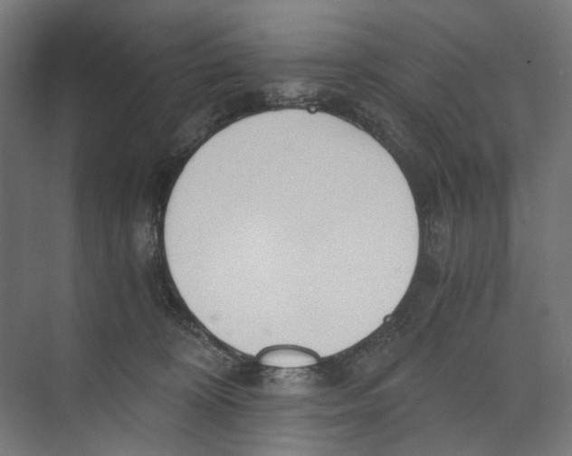 X0000073510324200608281714