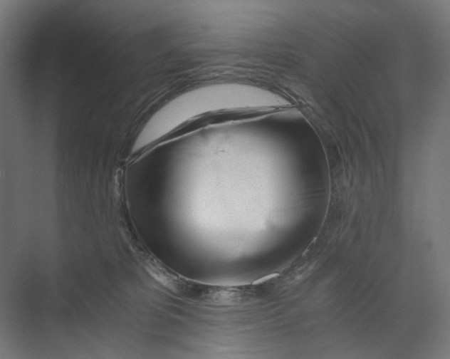 X0000073510325200608281714