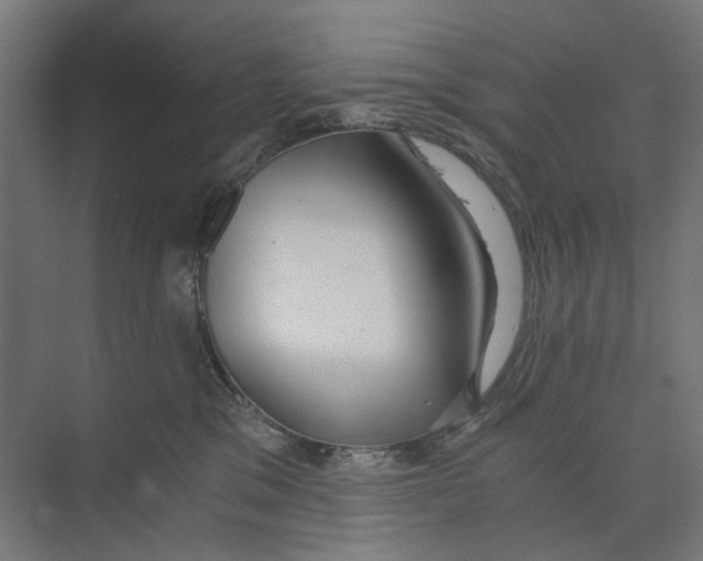 X0000073510329200608281714