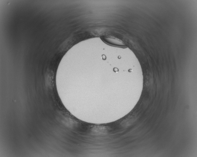 X0000073510332200608281713