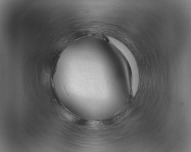 X0000073510333200608281713