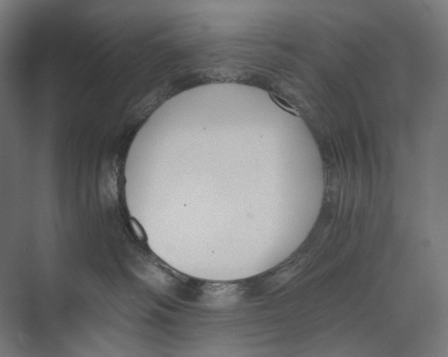 X0000073510334200608281713