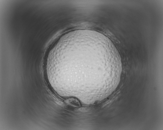X0000073510341200608281713