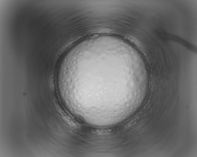 X0000073510345200608281713
