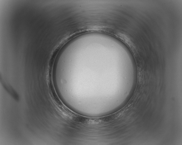 X0000073510346200608281713
