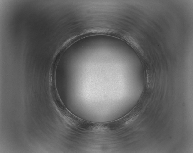 X0000073510348200608281713