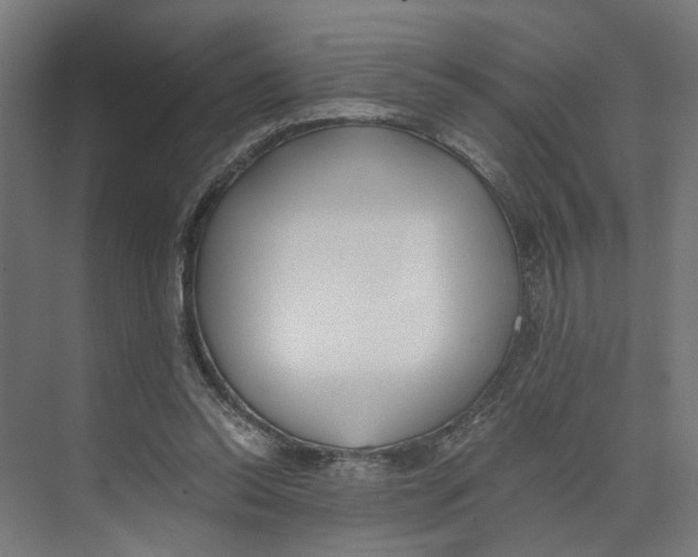 X0000073510350200608281713