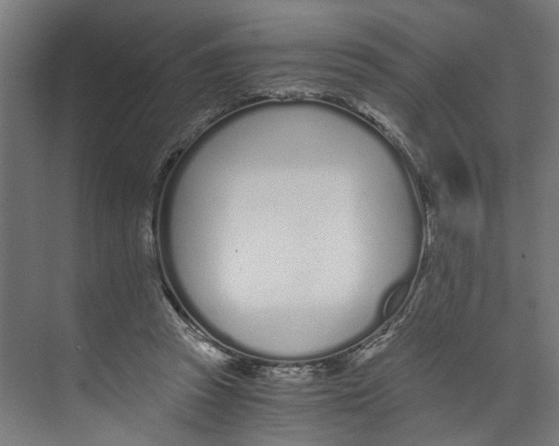 X0000073510353200608281713