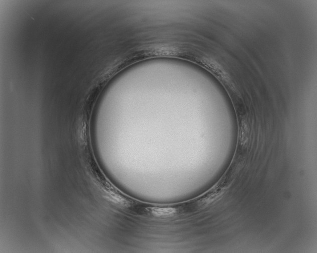 X0000073510355200608281713