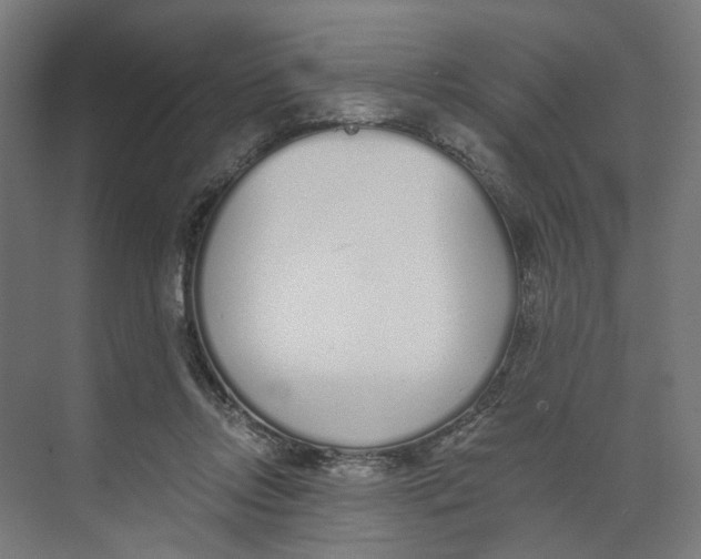 X0000073510358200608281713