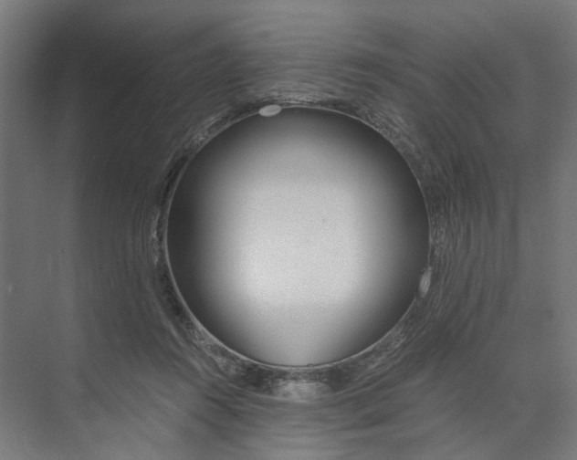 X0000073510360200608281713