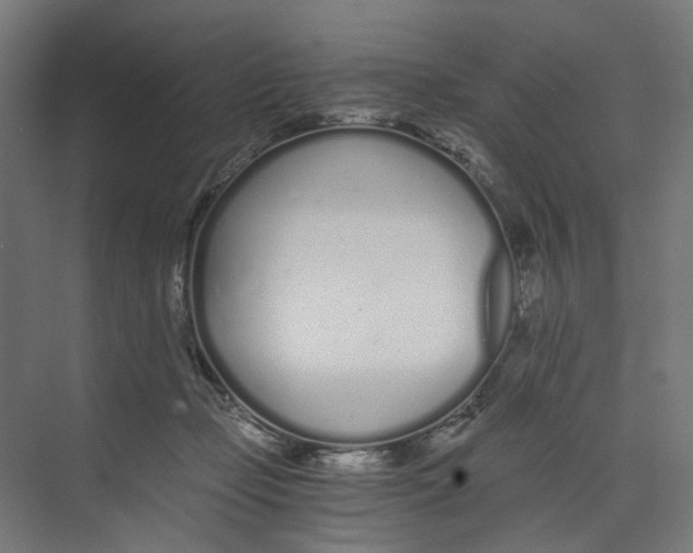 X0000073510365200608281713