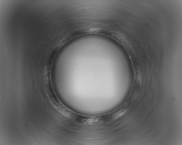 X0000073510366200608281713