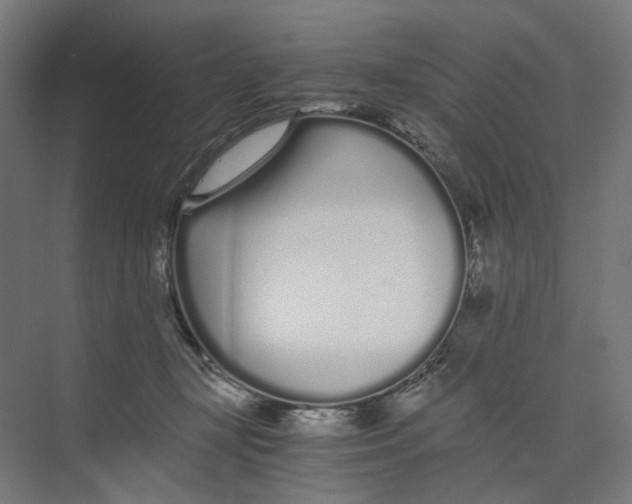 X0000073510367200608281713
