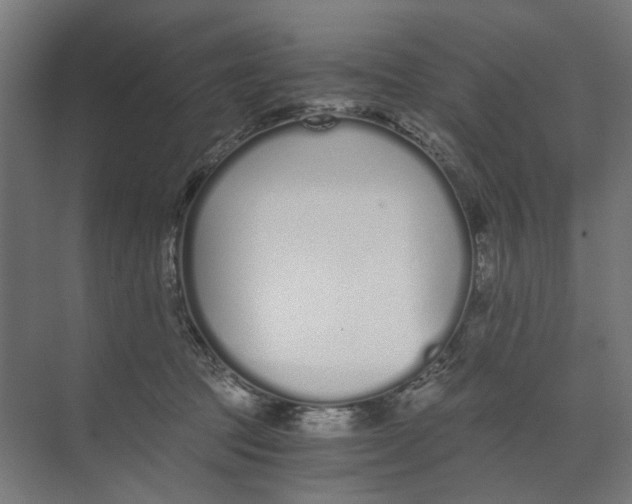 X0000073510369200608281713
