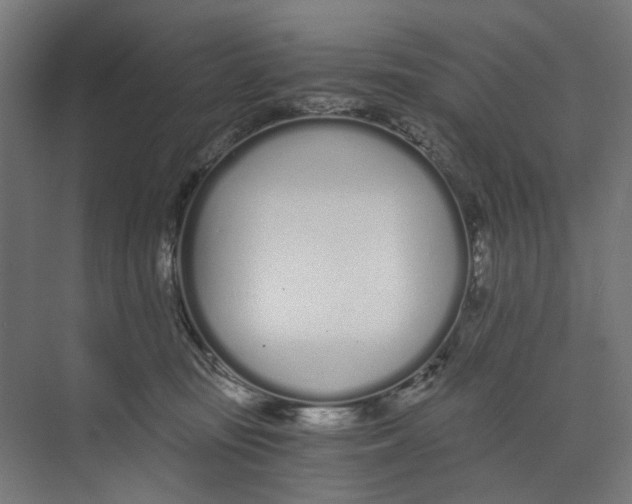 X0000073510371200608281713