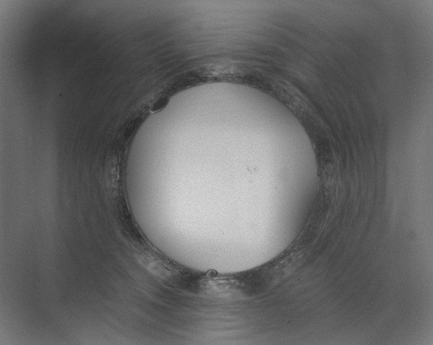 X0000073510372200608281713