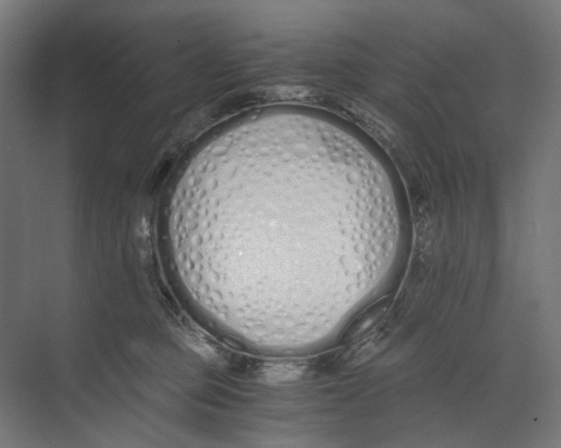 X0000073510373200608281713