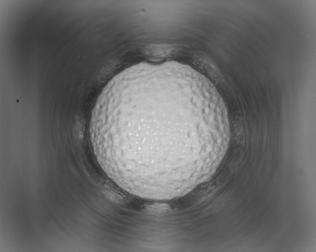X0000073510374200608281713