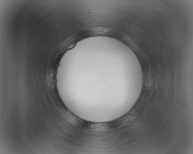 X0000073510378200608281713