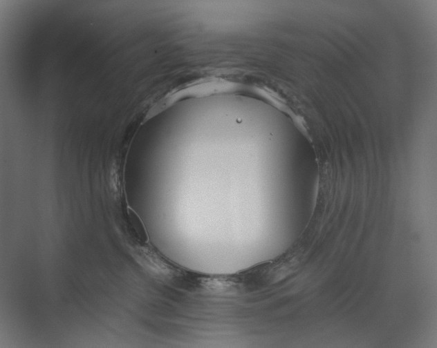 X0000073510380200608281713