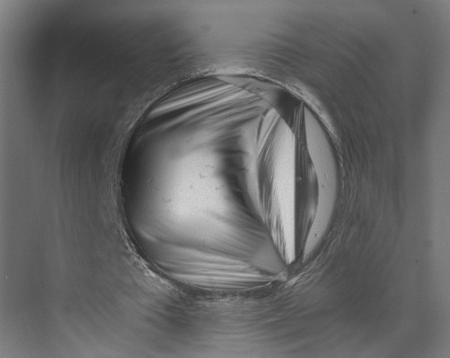 X0000073510385200608281713