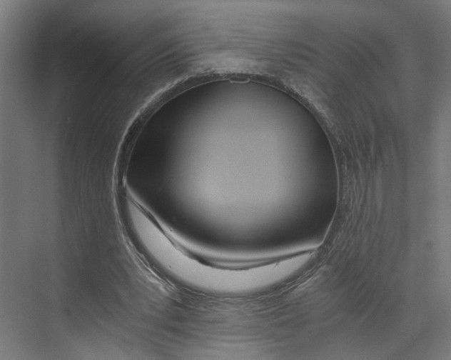 X0000073510391200608281712