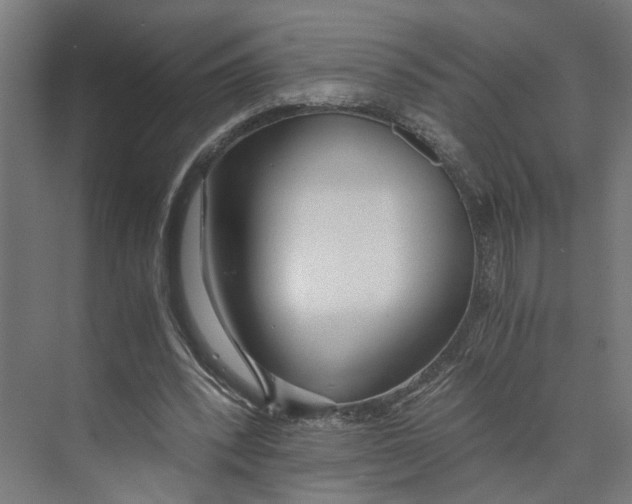 X0000073510392200608281712
